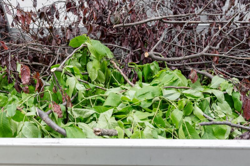 leaf removal