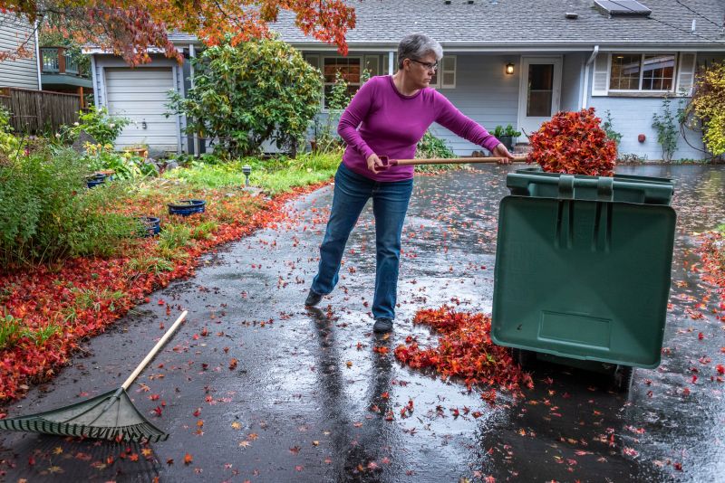 Garden Bed Clearing