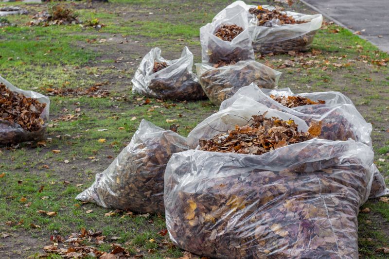 Bagged Leaves Ready for Disposal