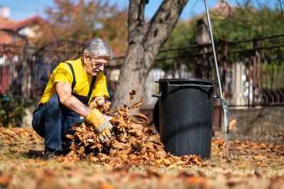 Improve Curb Appeal