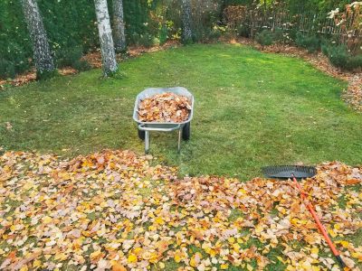 Prevent Lawn Damage