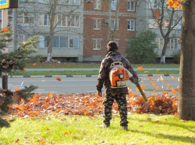 Avoid Clogging Drains
